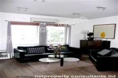 High rental return fully renovated apartment